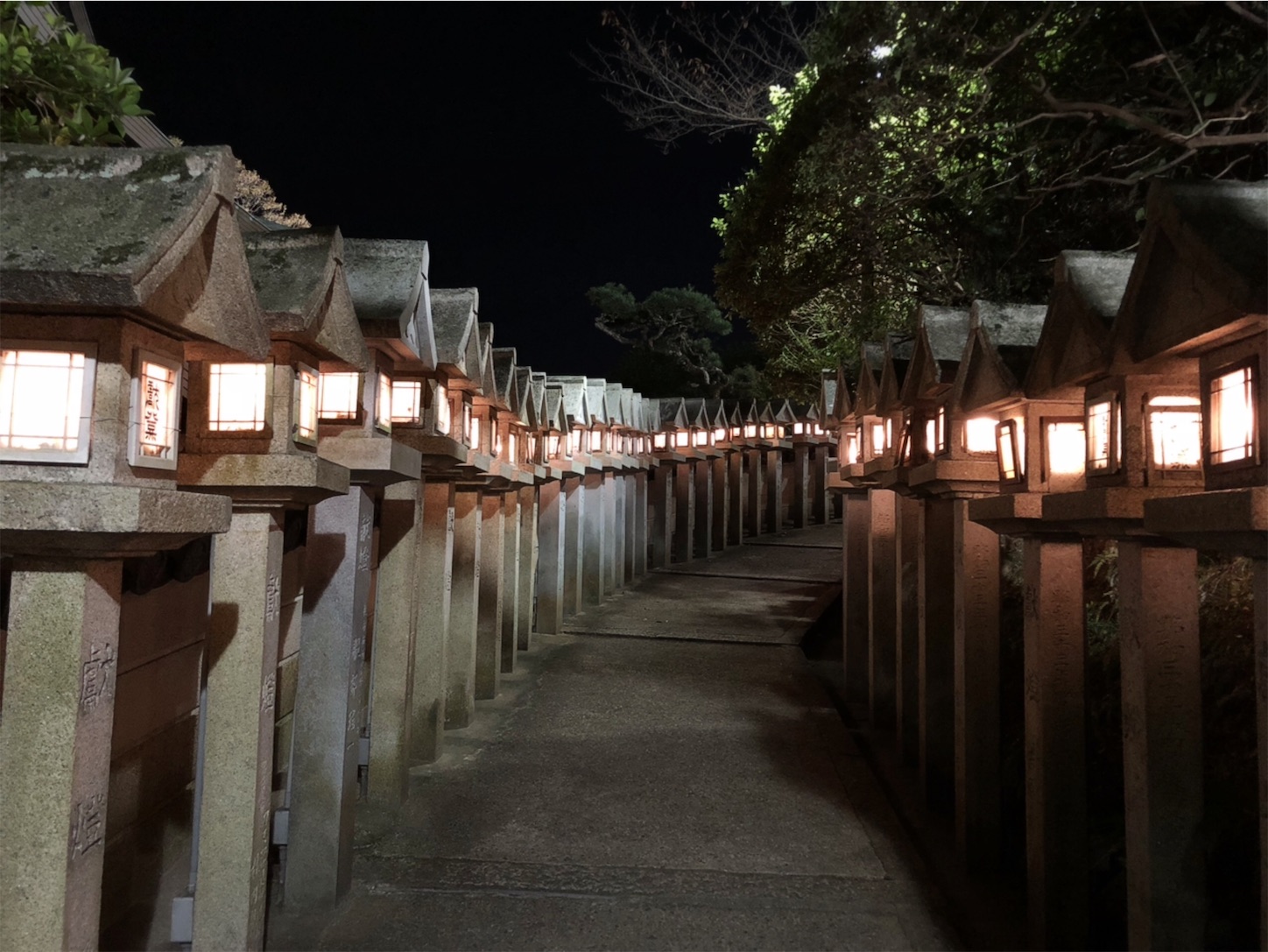 f:id:namasteindia:20181120181156j:image