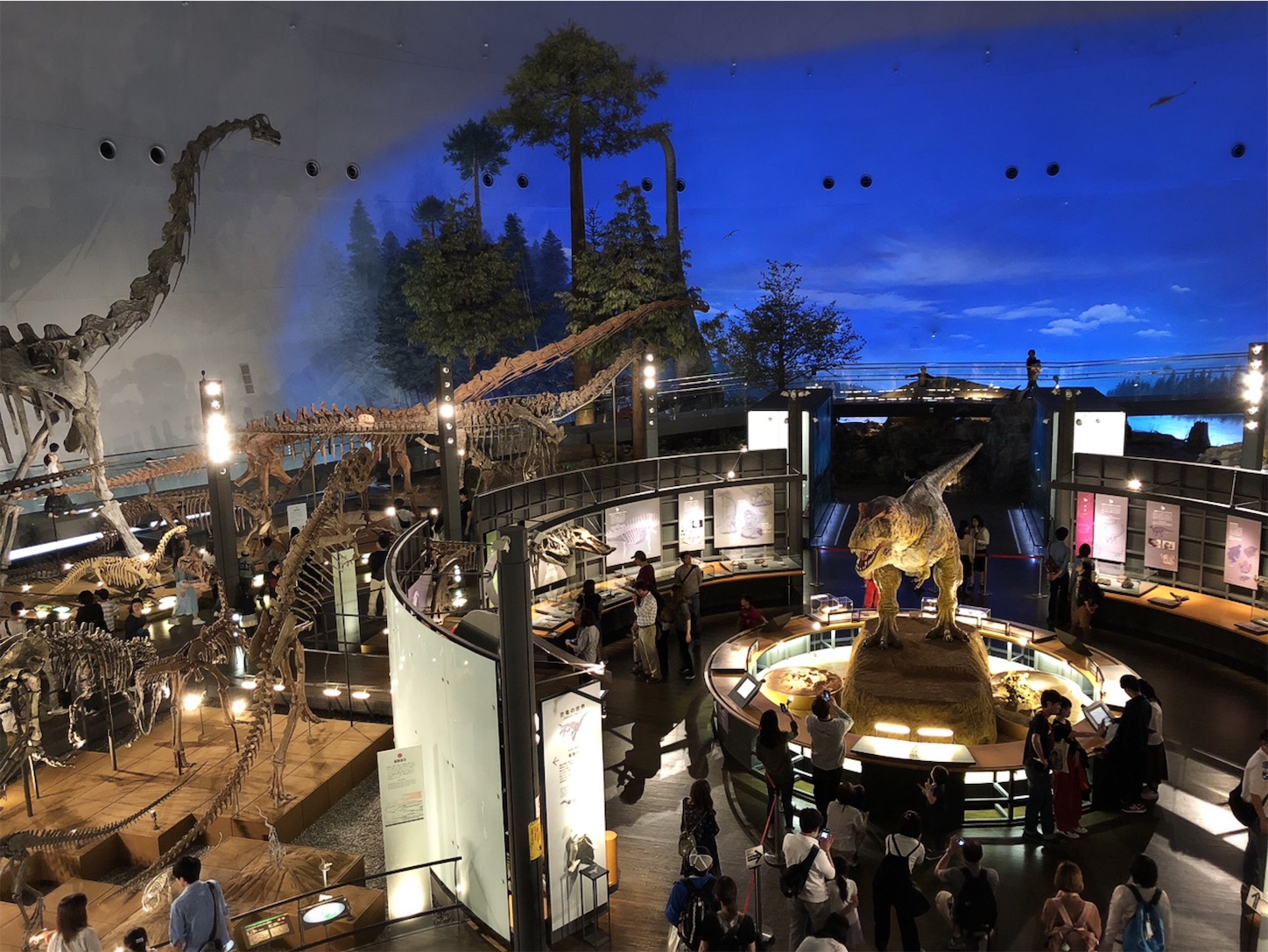 f:id:namasteindia:20190422220116j:image