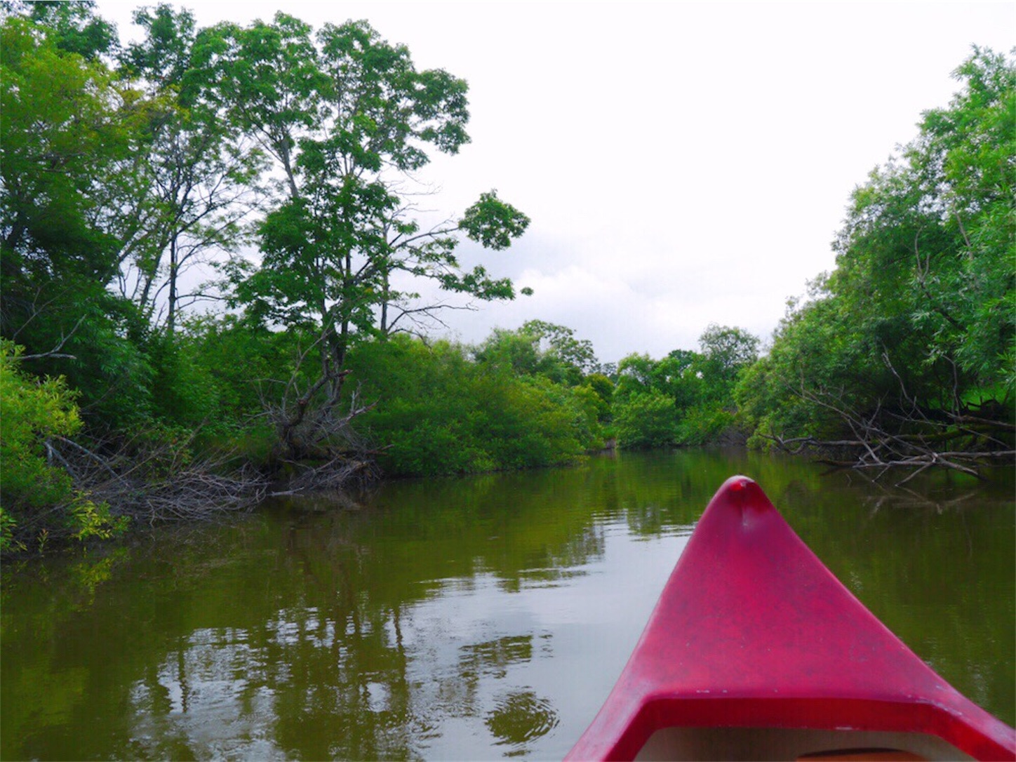 f:id:namasteindia:20190729192621j:image f:id:namasteindia:20190729192621j:image