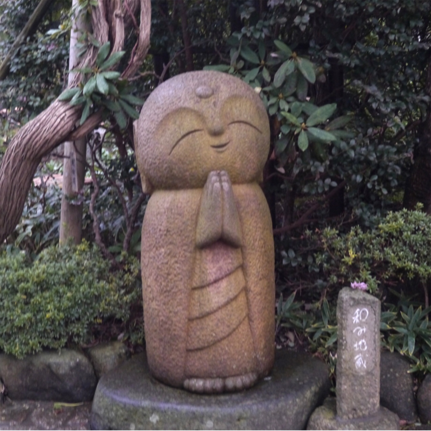 f:id:namasteindia:20191030205308j:image f:id:namasteindia:20191030205308j:image