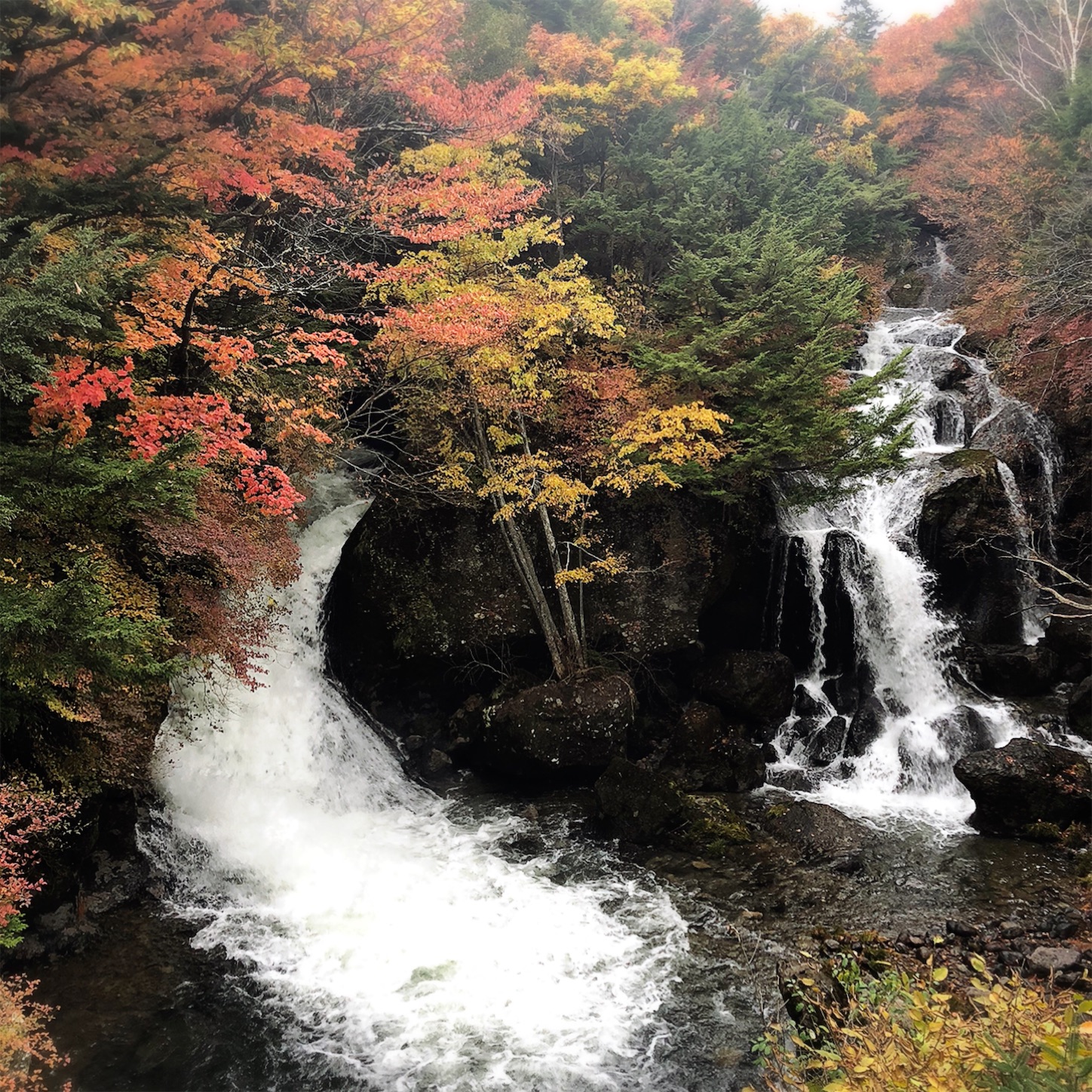 f:id:namasteindia:20191030210049j:image f:id:namasteindia:20191030210049j:image