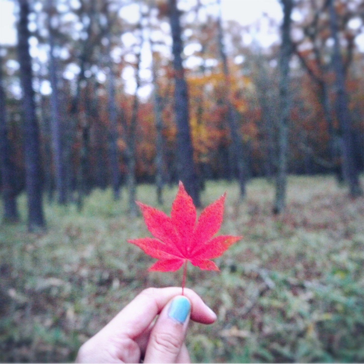 f:id:namasteindia:20191030210109j:image f:id:namasteindia:20191030210109j:image