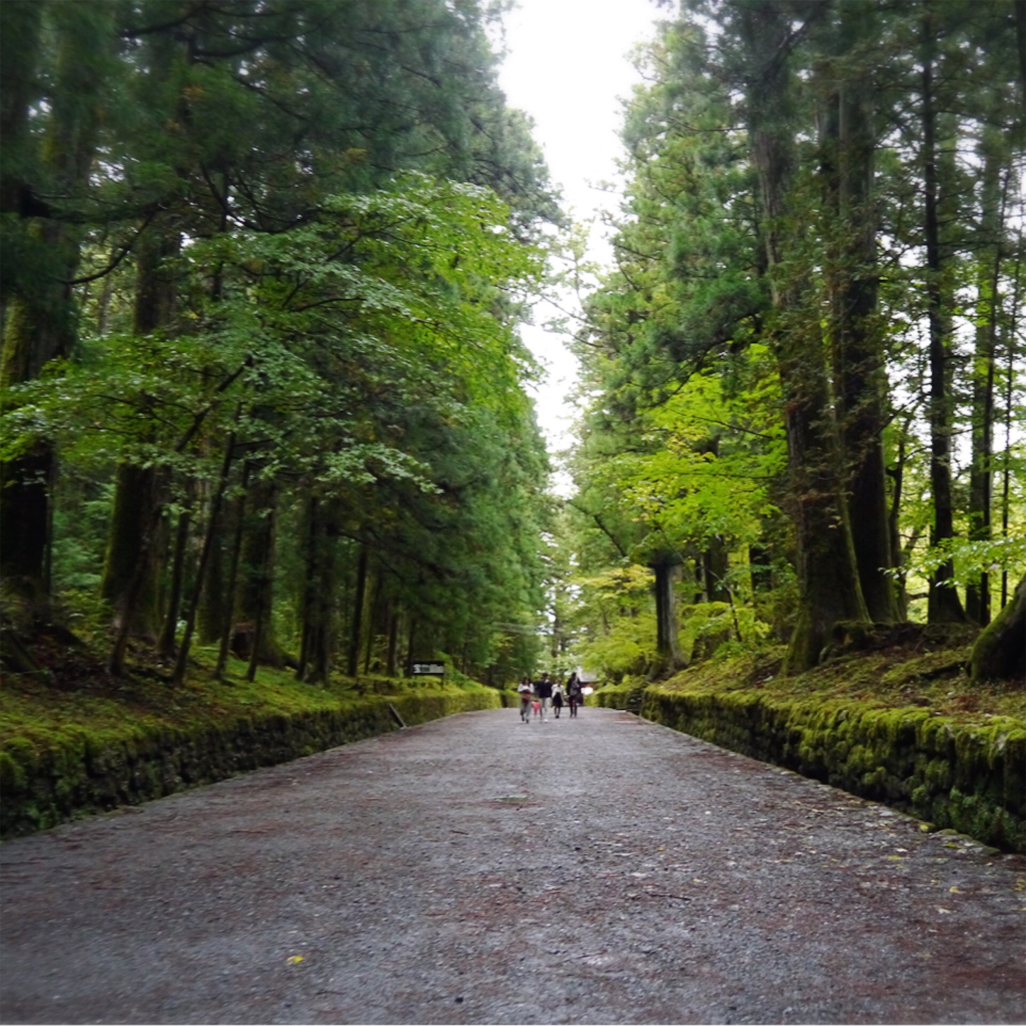 f:id:namasteindia:20191030210326j:image f:id:namasteindia:20191030210326j:image