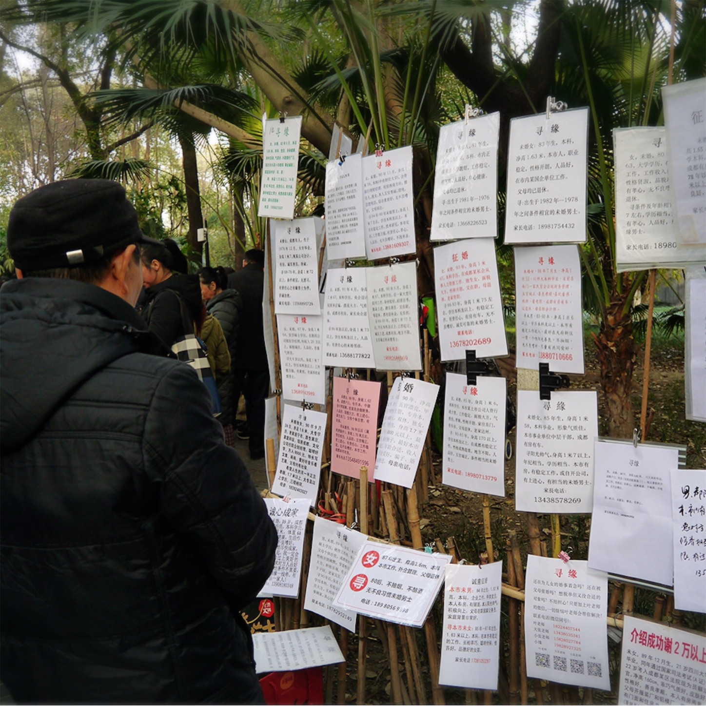 f:id:namasteindia:20200228203229j:image