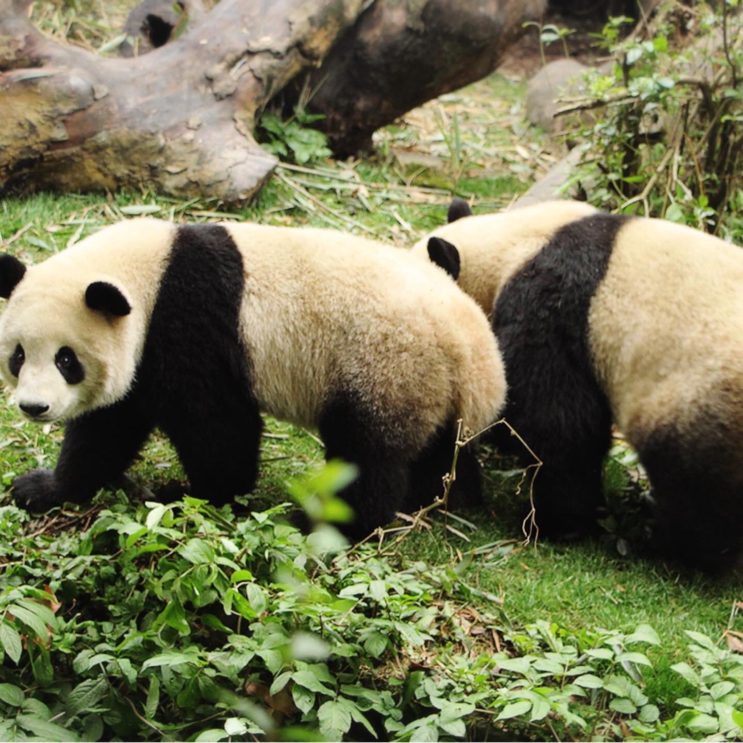 f:id:namasteindia:20200228203429j:image