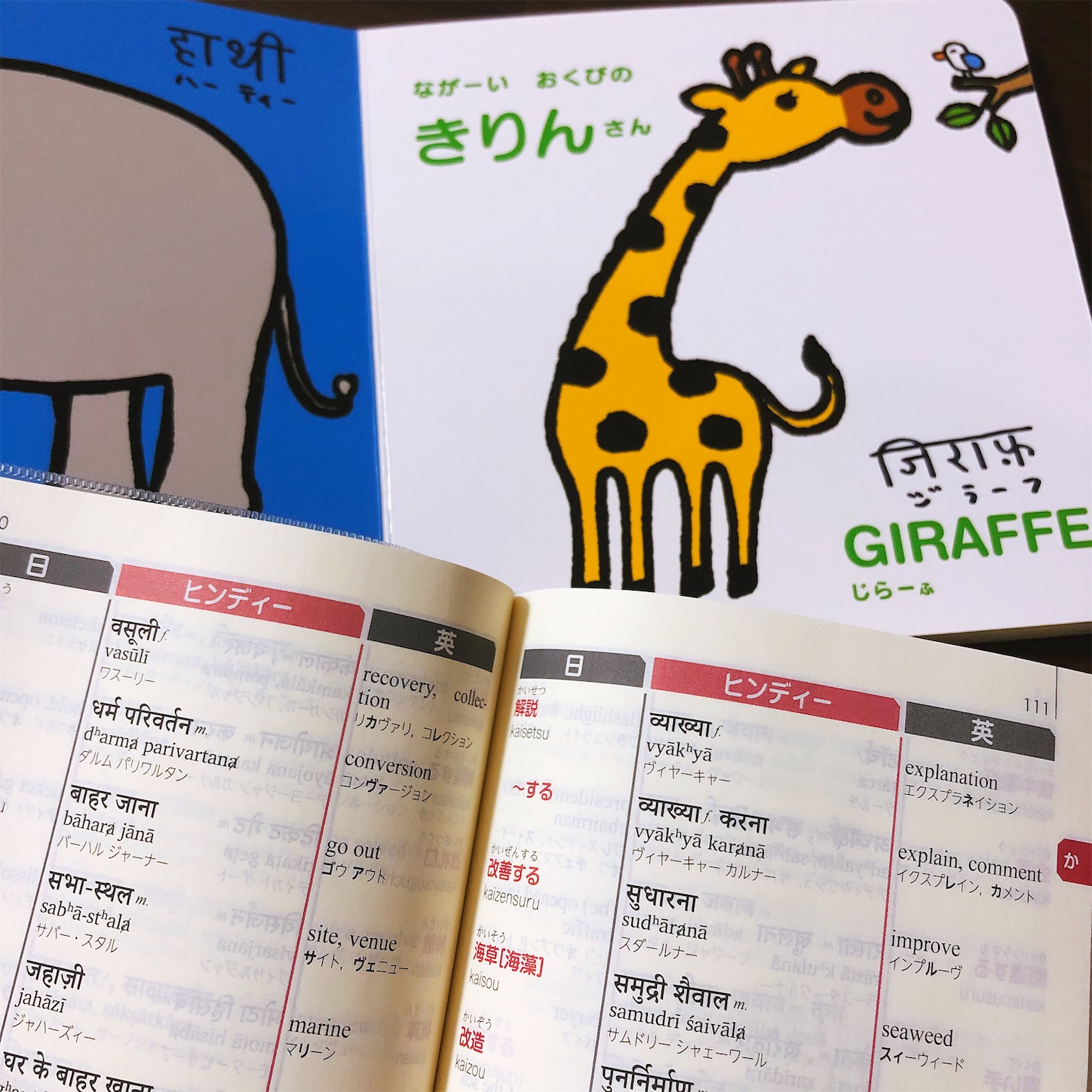 f:id:namasteindia:20201130095052j:image