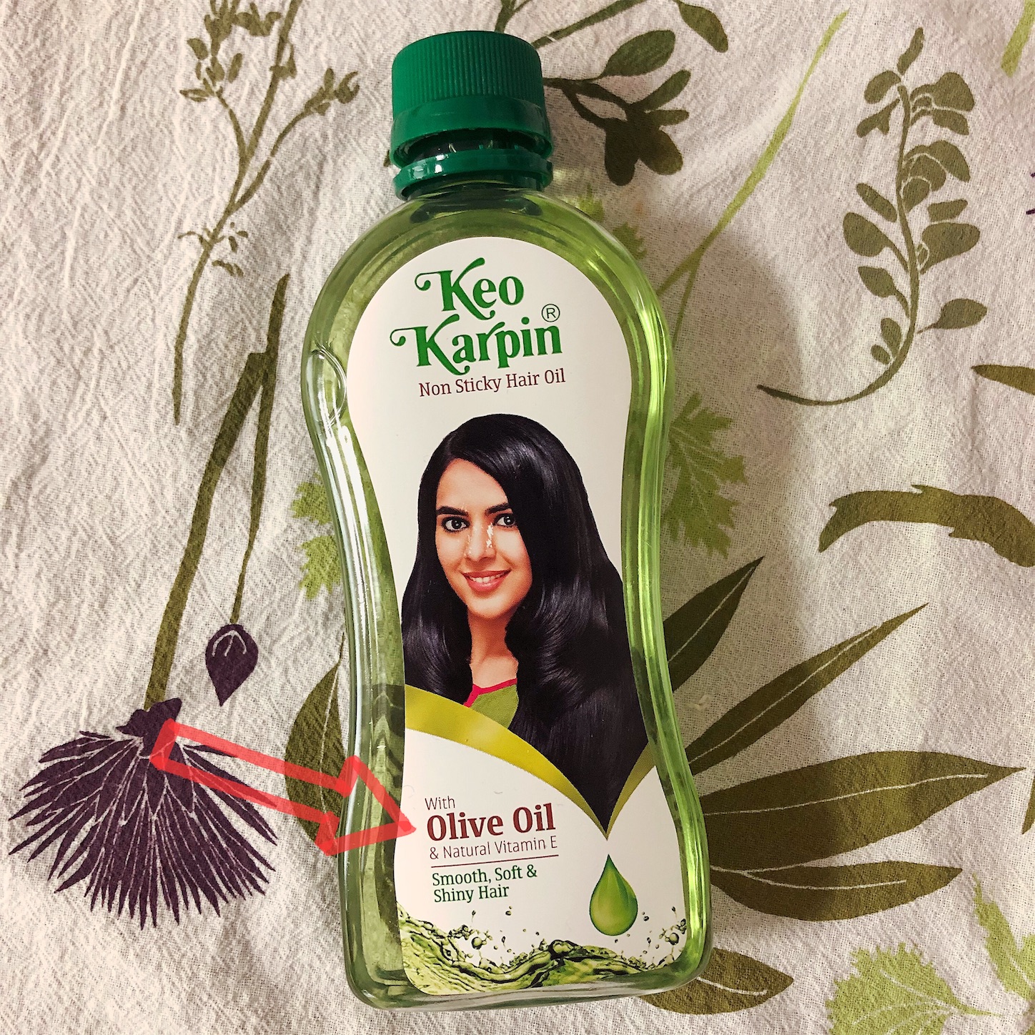 f:id:namasteindia:20201221211917j:image