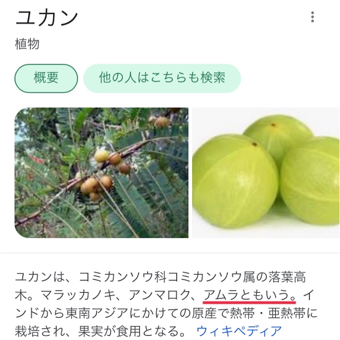 f:id:namasteindia:20201222145317j:image