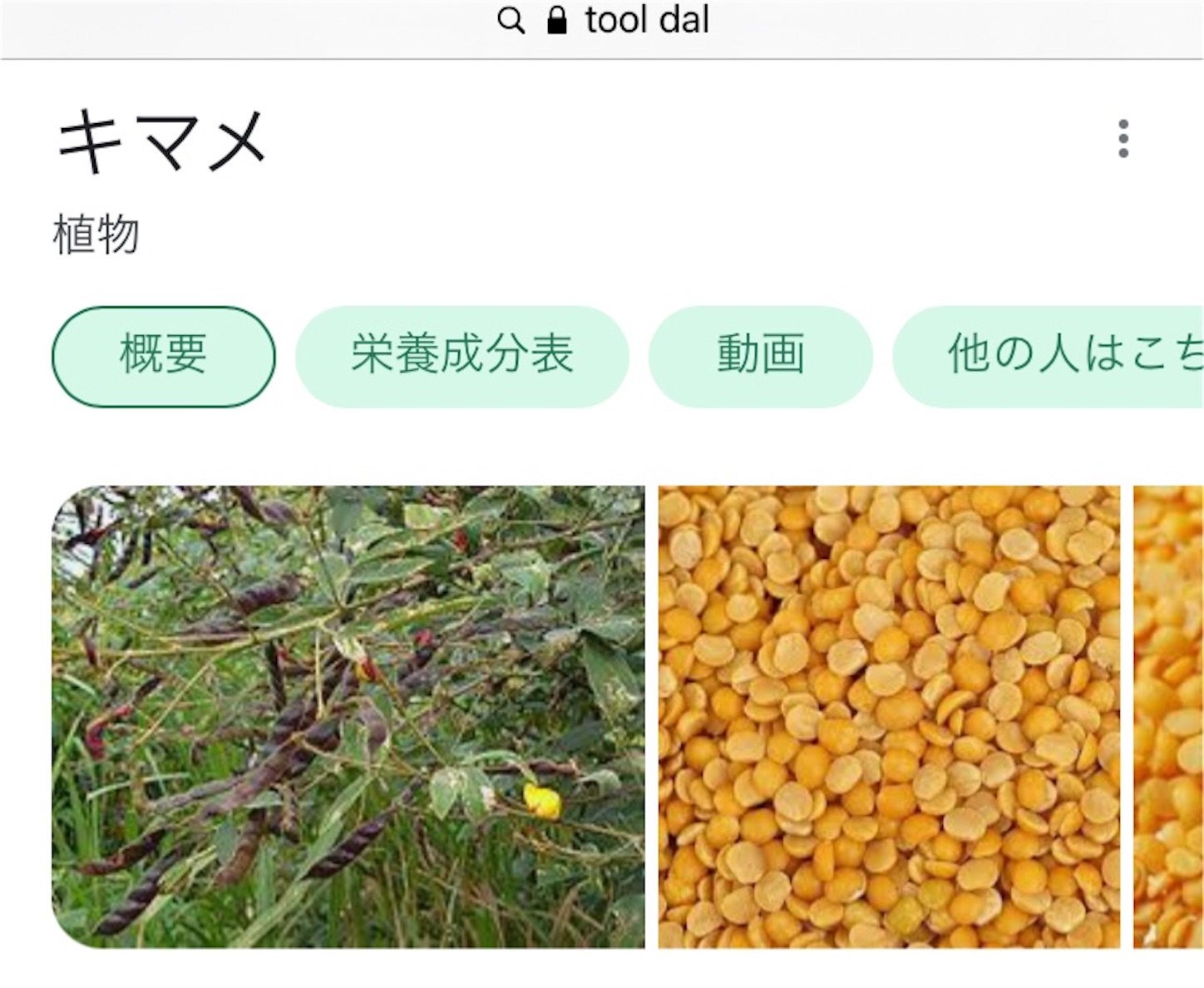 f:id:namasteindia:20210415201347j:image f:id:namasteindia:20210415201347j:image