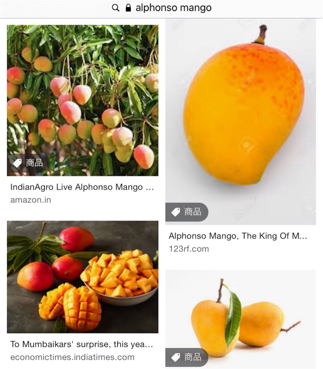 f:id:namasteindia:20210720183556j:image