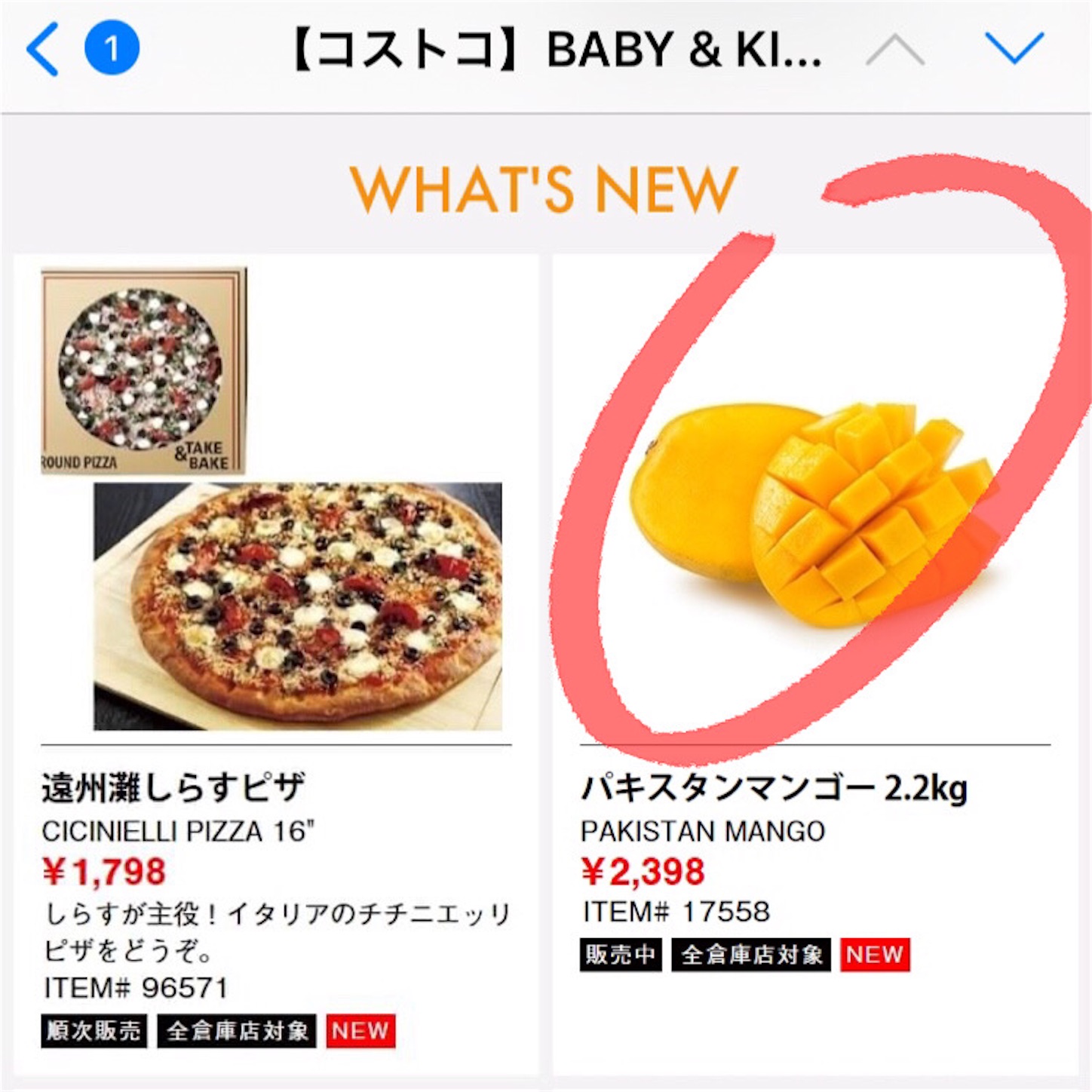 f:id:namasteindia:20210824154201j:image