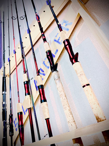 f:id:namazunoko:20200728110738j:plain