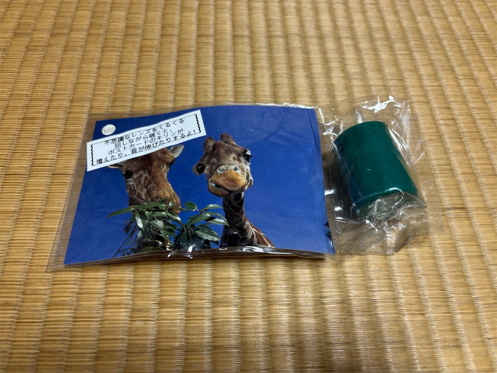 f:id:namba160:20250815102901j:image