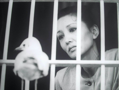 木曜ゴールデンドラマ 魔性 1984年 主演 浅丘ルリ子 脚本 池端俊策 矢島正雄 演出 鶴橋康夫 私の中の見えない炎