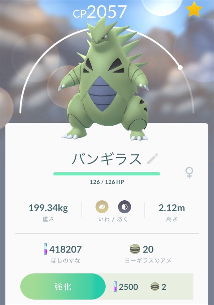 快晴のセントラルパークをお散歩して ポケモンgoの新イベントを楽しむ週末 Rioの日記