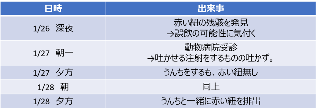 猫が紐を誤飲してしまった Rioの日記