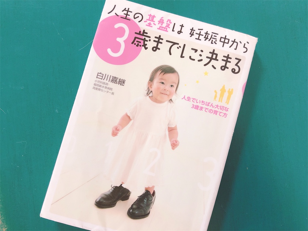 洋書バチカンローマ写真集大判