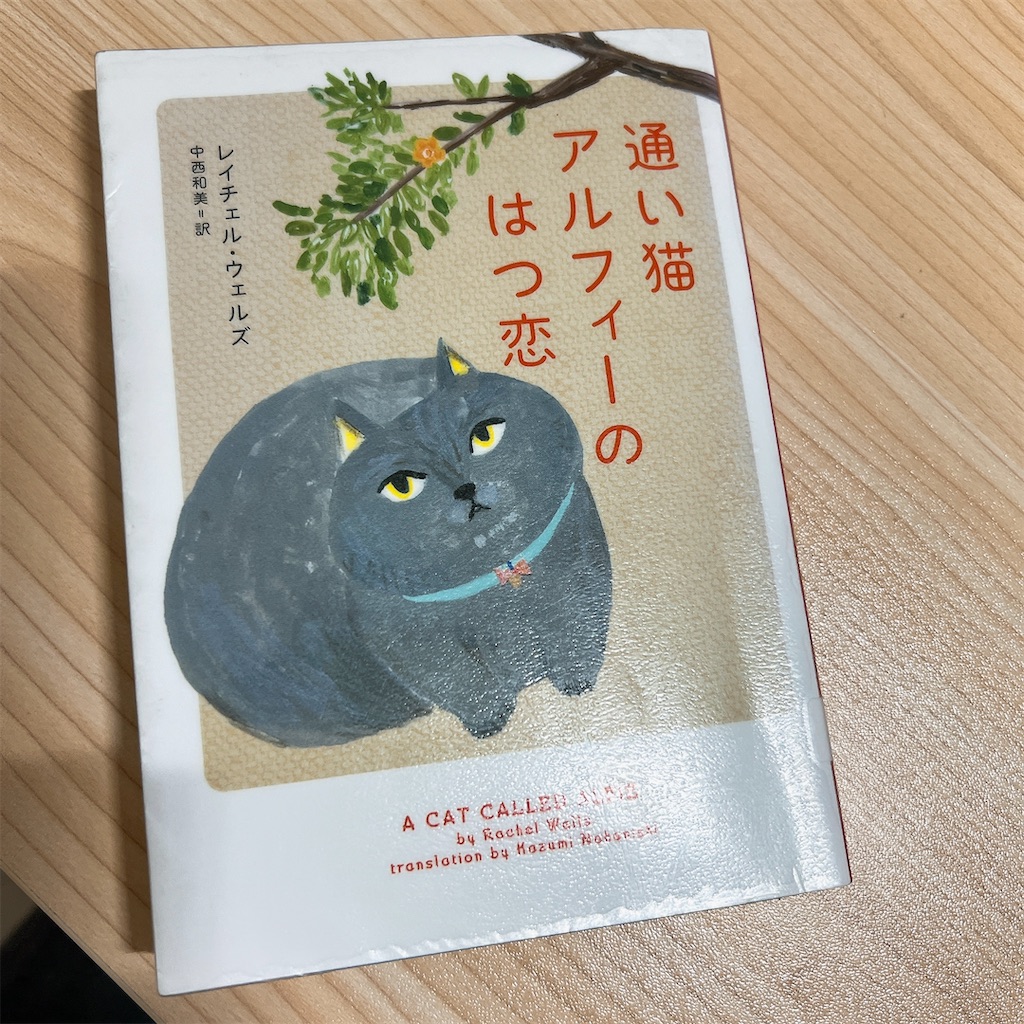 f:id:nami11star:20240427104920j:image f:id:nami11star:20240427104920j:image