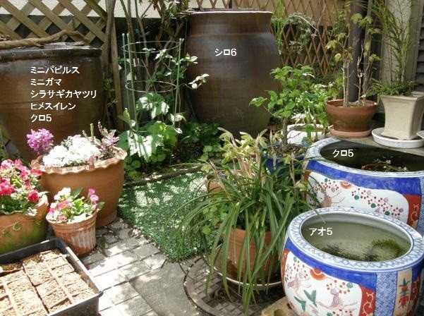 20110419135045