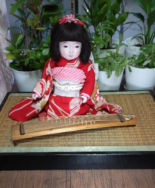 f:id:nami_eda:20230303182942j:image f:id:nami_eda:20230303182942j:image