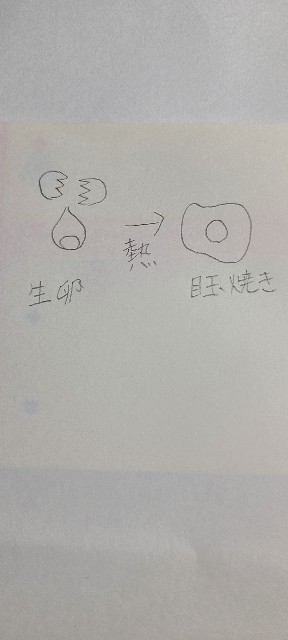 f:id:nami_kazu:20210102224248j:image f:id:nami_kazu:20210102224248j:image