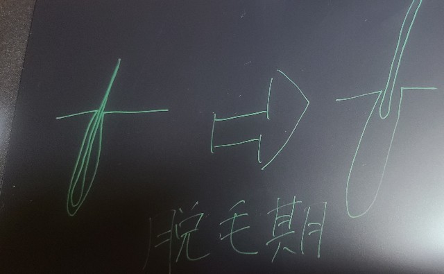 f:id:nami_kazu:20210329200725j:image f:id:nami_kazu:20210329200725j:image