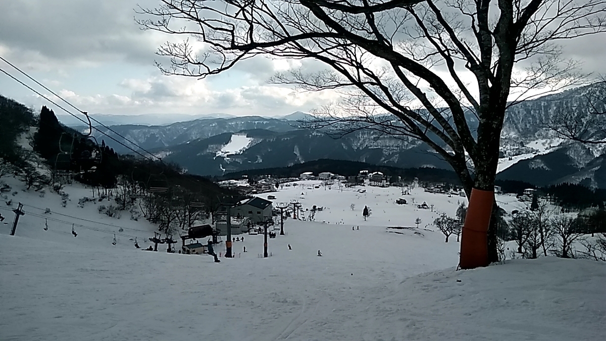 f:id:nami_kimichi:20210612203136j:plain