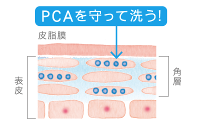 f:id:namidamelily:20180521232307p:plain f:id:namidamelily:20180521232307p:plain