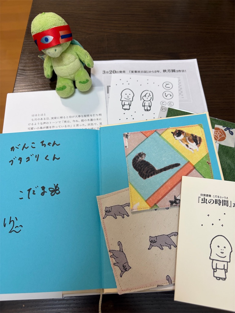 f:id:namidamenoo:20260826211637j:image