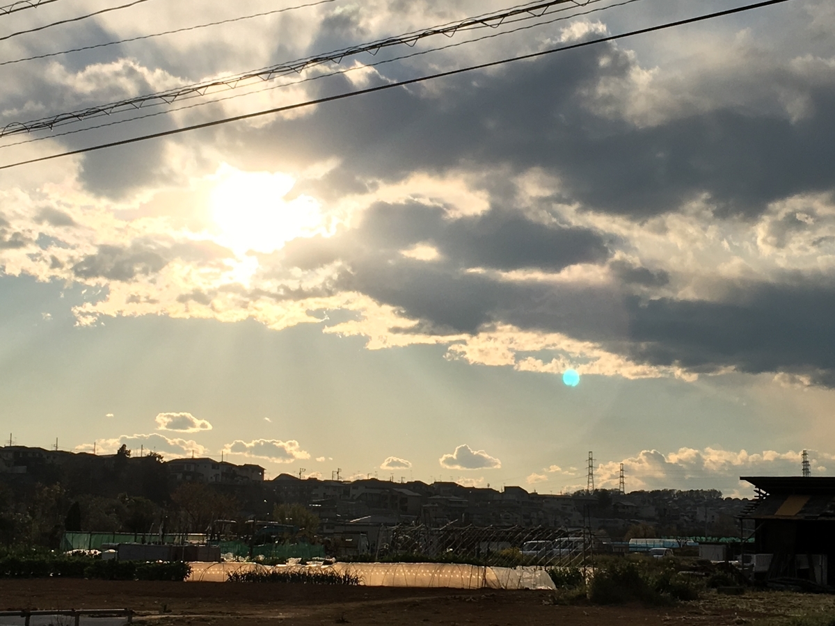 f:id:namie-aoi:20190520105334j:plain f:id:namie-aoi:20190520105334j:plain