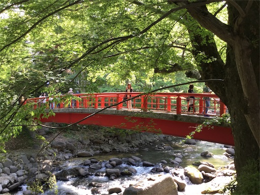 f:id:namie-aoi:20190621113118j:image f:id:namie-aoi:20190621113118j:image
