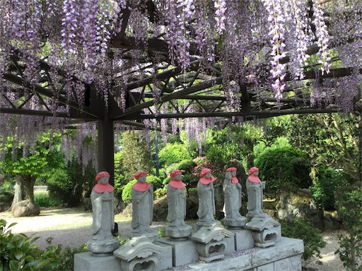 f:id:namie-aoi:20190621113125j:image f:id:namie-aoi:20190621113125j:image