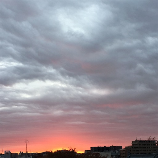 f:id:namie-aoi:20190719133220j:image f:id:namie-aoi:20190719133220j:image