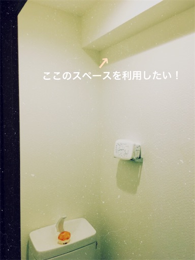 f:id:namie-aoi:20200228212410j:image f:id:namie-aoi:20200228212410j:image