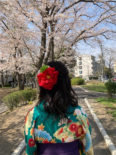 f:id:namie-aoi:20210328011240j:image