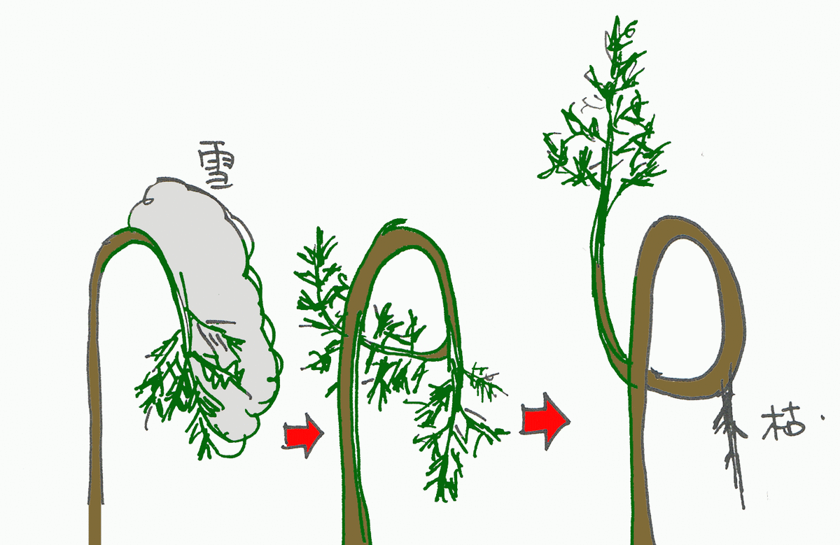f:id:namife:20200506114526g:plain