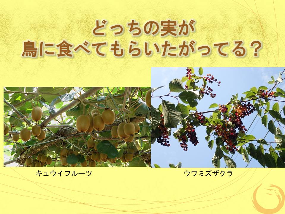 f:id:namife:20200523105216j:plain