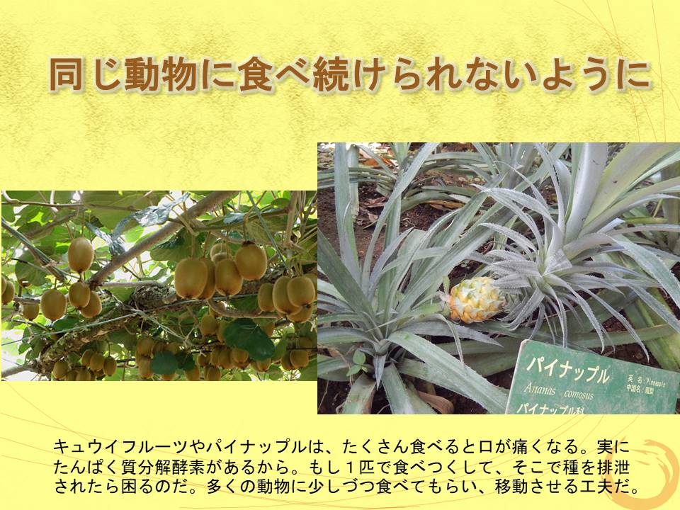 f:id:namife:20200523105656j:plain