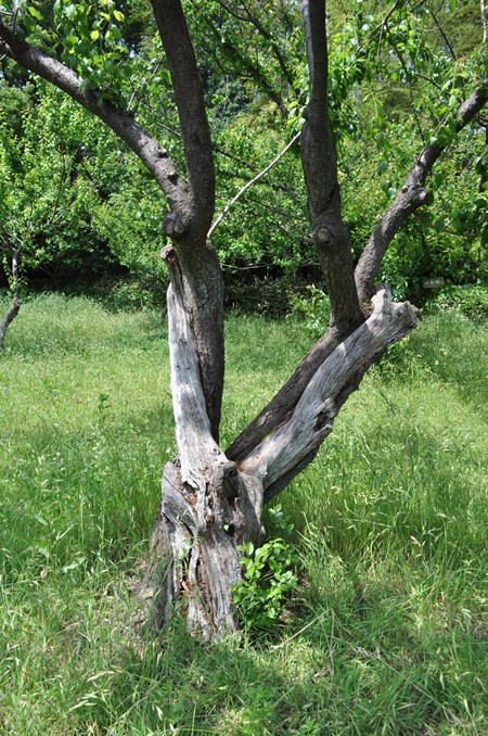 f:id:namife:20200629160301j:plain f:id:namife:20200629160301j:plain