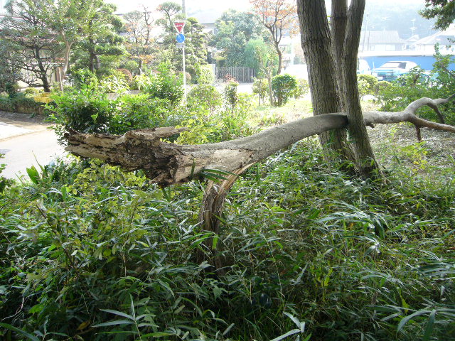 f:id:namife:20200824153923j:plain f:id:namife:20200824153923j:plain