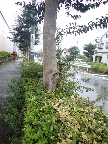 f:id:namife:20201019212255j:plain