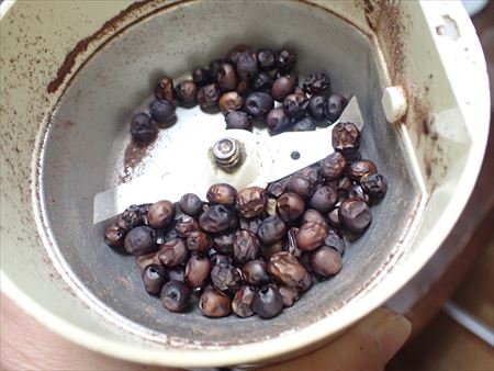 雪のトウネズミモチコーヒー - 街の木コレクション