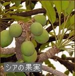 f:id:namiheichan:20190623010509j:image f:id:namiheichan:20190623010509j:image