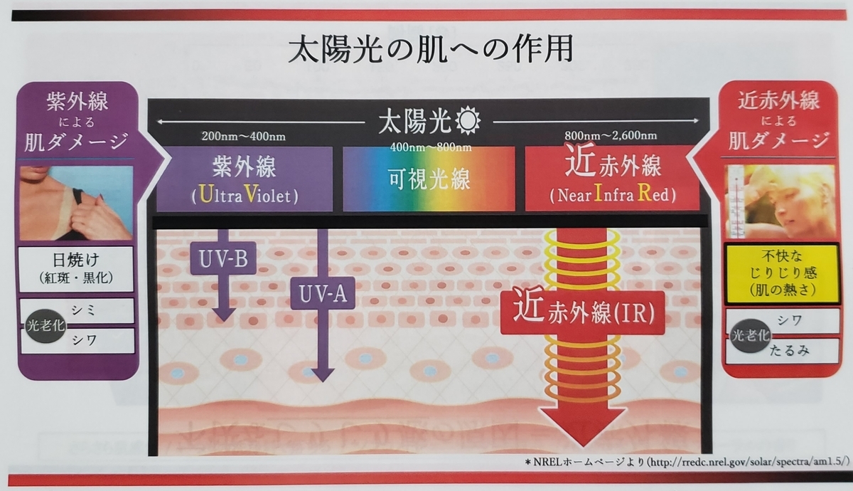 f:id:namiho_cosmeconcierge:20200218185947j:plain f:id:namiho_cosmeconcierge:20200218185947j:plain