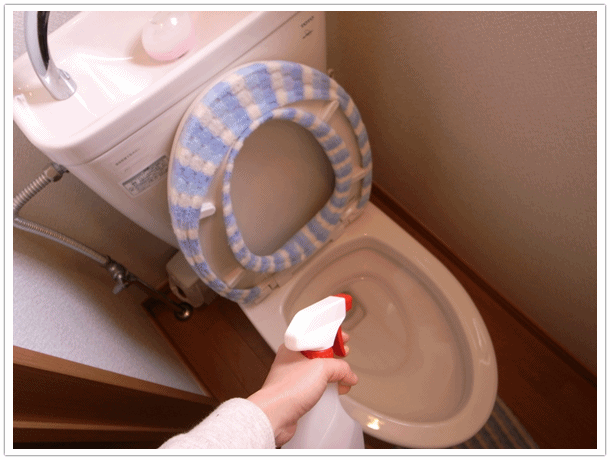 トイレ掃除はハッカ油の実際 実際