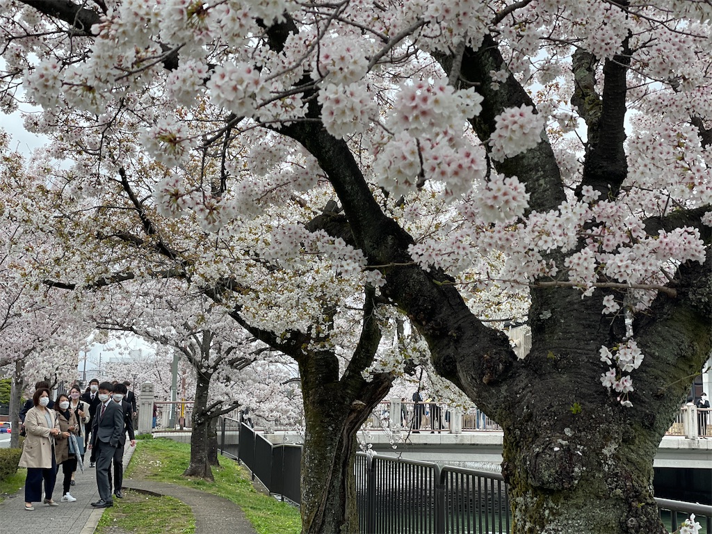 f:id:namimimi73:20220502181738j:image f:id:namimimi73:20220502181738j:image