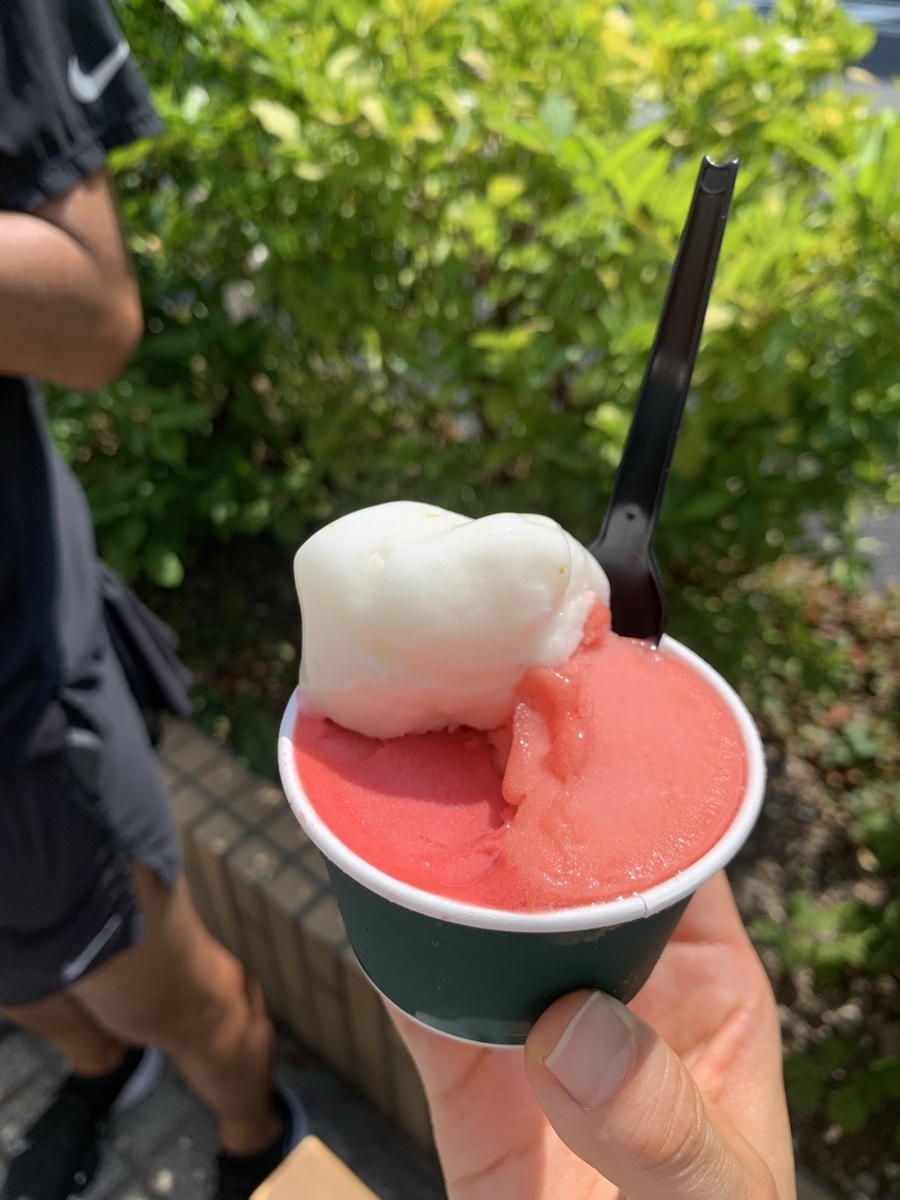 f:id:namimiyahara:20210904095219j:plain