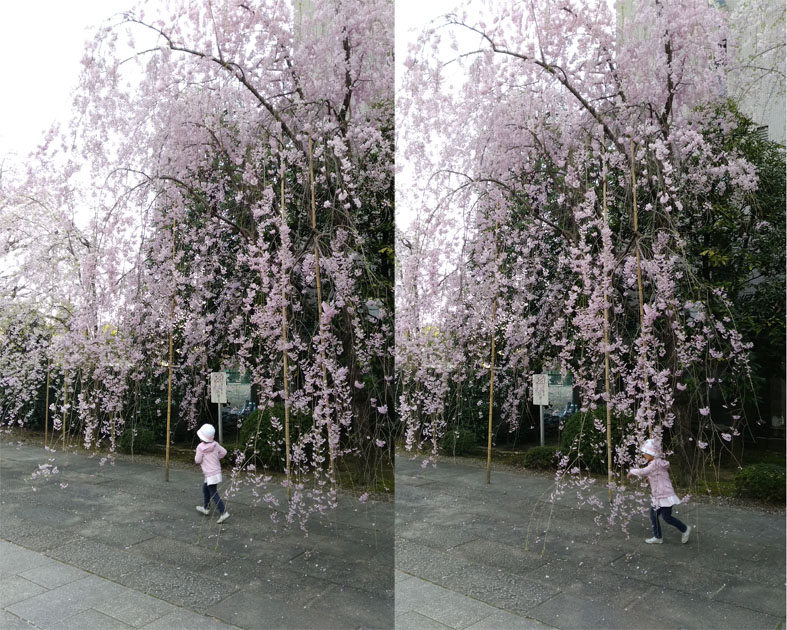 f:id:naminamimoyou:20180330205712j:plain f:id:naminamimoyou:20180330205712j:plain