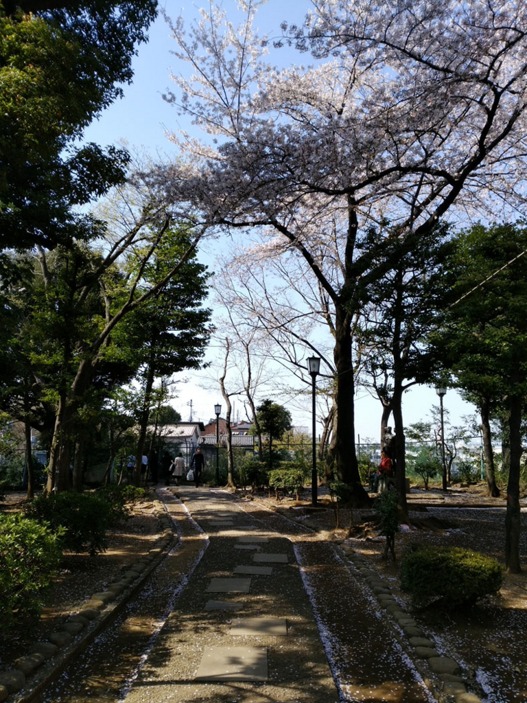 f:id:naminamimoyou:20180407223353j:plain