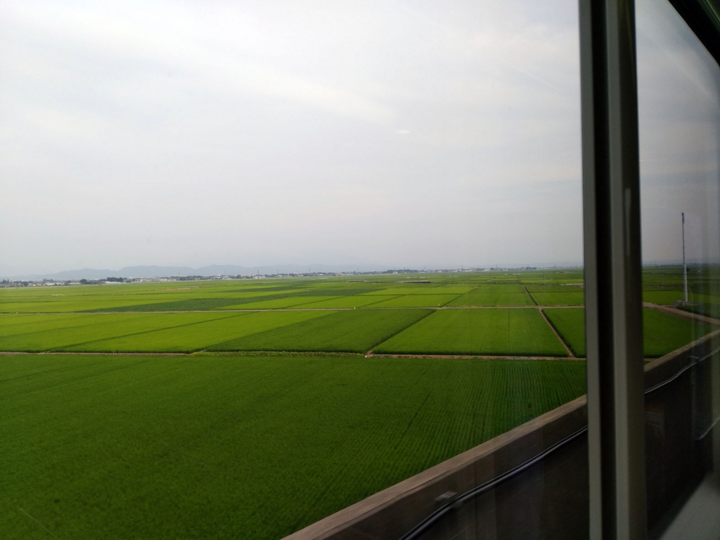 f:id:naminamimoyou:20180729210050j:plain f:id:naminamimoyou:20180729210050j:plain